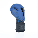 Fighter Boxing Gloves SPLIT Stripes - blue/black