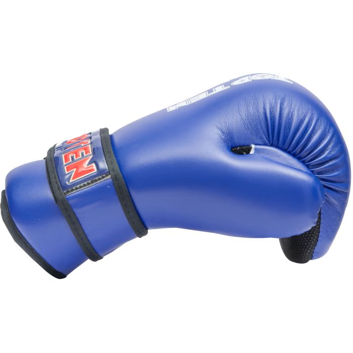 Top Ten Point Fighter Gloves - blue