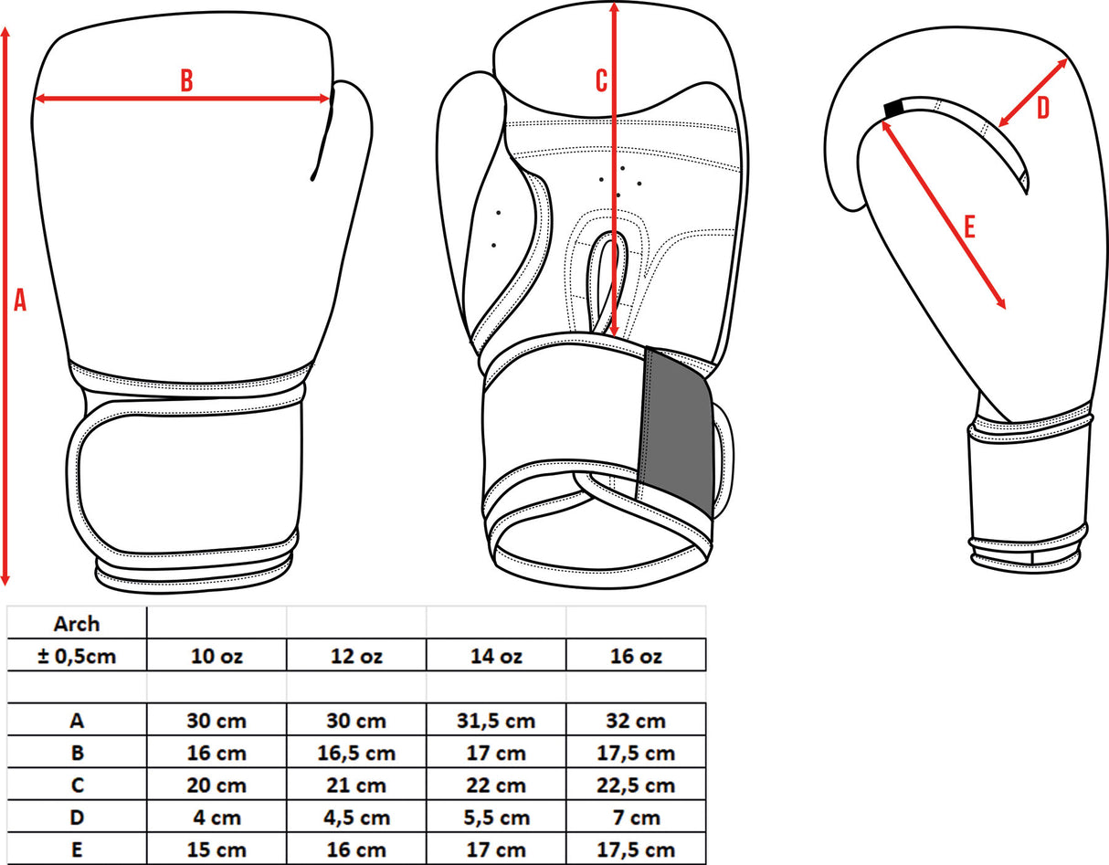 TOP TEN Guantes de boxeo Power Ink Golden Star - blanco/dorado