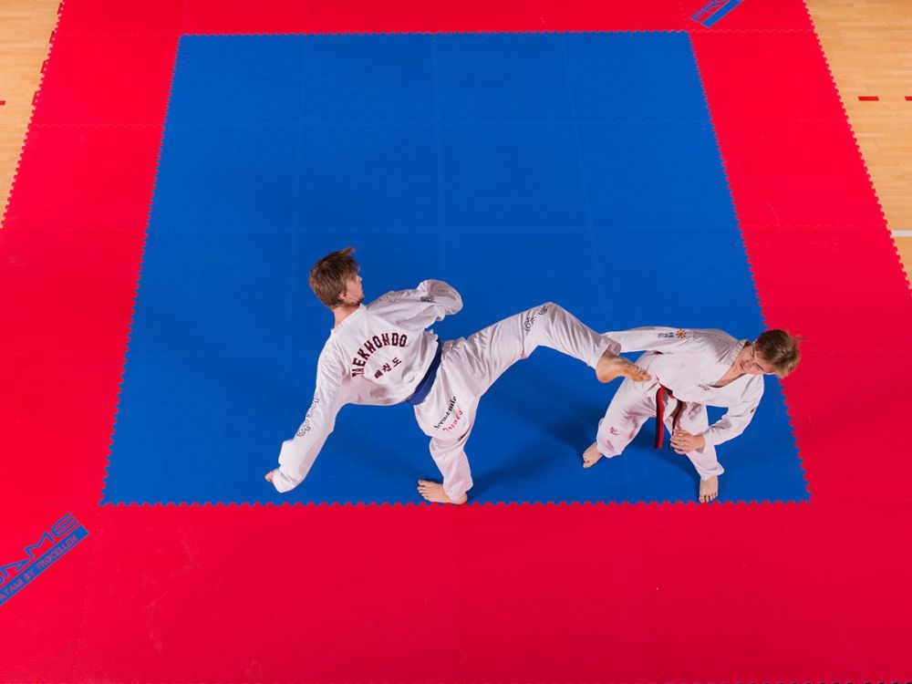 Alfombrilla básica para puzles ProGame Multisport, azul y roja