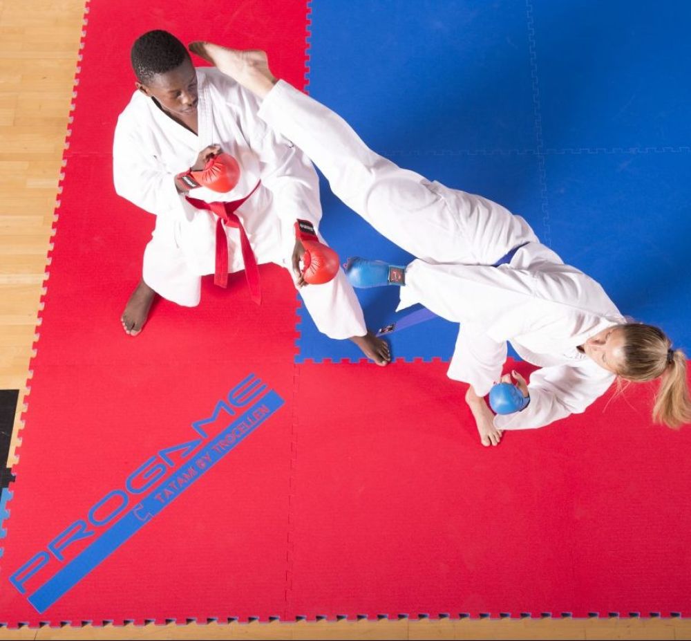 ProGame WKF Approved Puzzle Mat