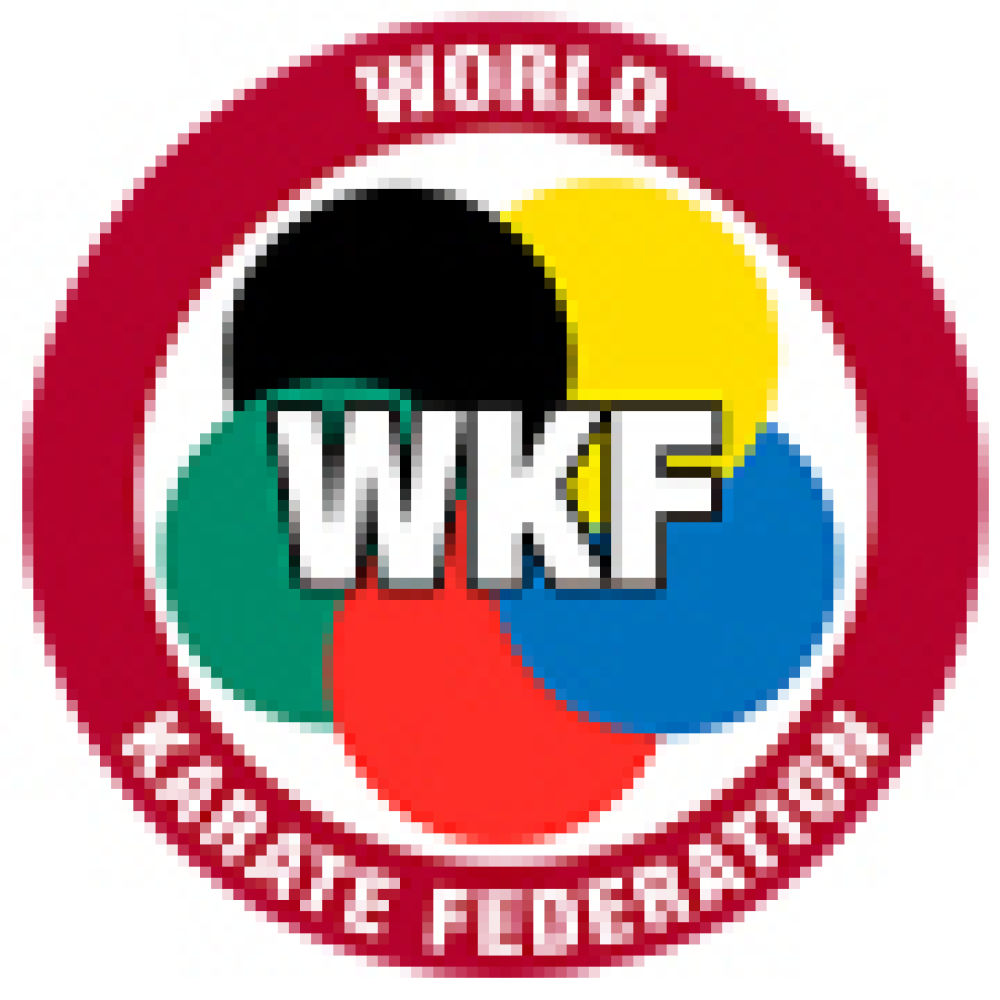 Alfombrilla de rompecabezas aprobada por la WKF de ProGame