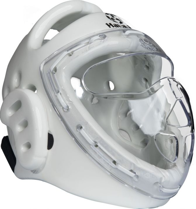 Hayashi Head Guard with mask