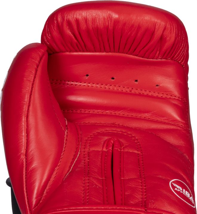 Top Ten Boxing Gloves IBA - 20101-4