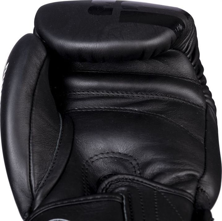 Top Ten Sparring gloves “Ajarn” - 20193-9